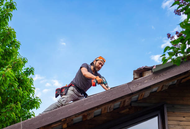 Best Roof Restoration  in Hanover, MN